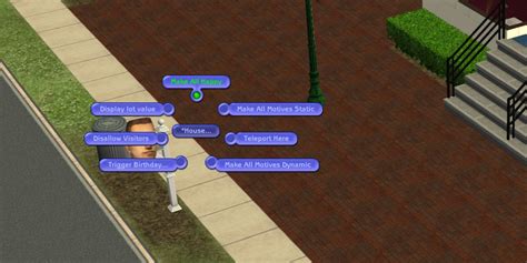 Sims 2 Cheat Adjust Needs