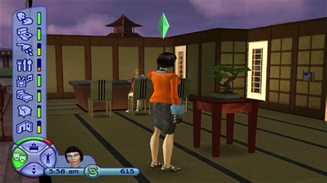 Sims 2 Ps2 Walkthrough