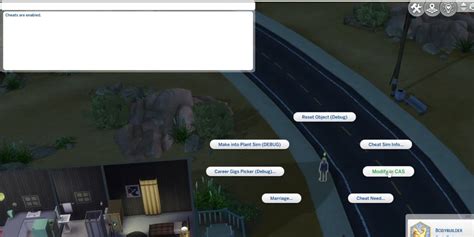 Sims 4 Age Reverse Cheat