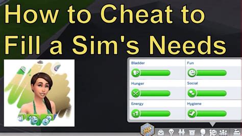 Sims Cheat To Fill All Needs