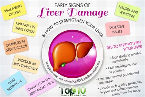 simvastatin warnings and liver damage