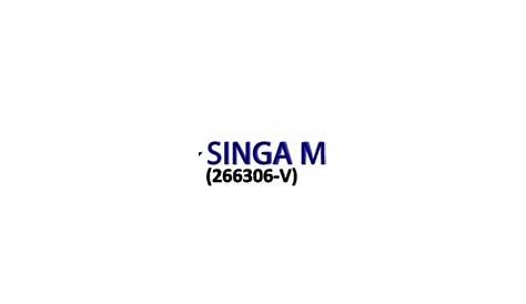 NG JIA WEN - Shipping Assistant - SINGA MARINE SDN BHD | LinkedIn