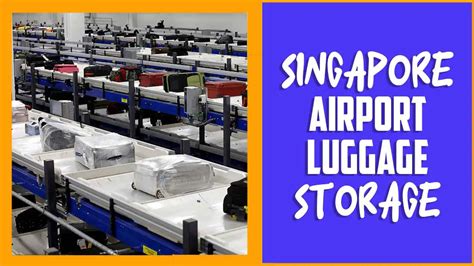 singapore airport luggage storage cost