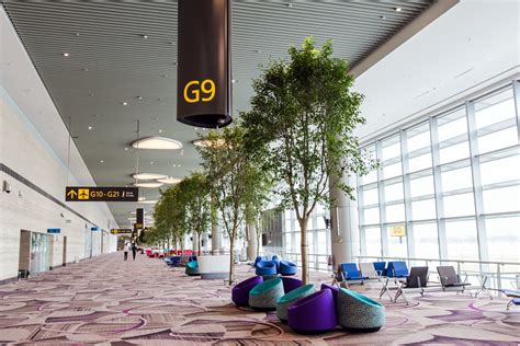 singapore changi airport news