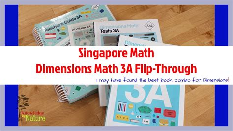 singapore dimensions math curriculum