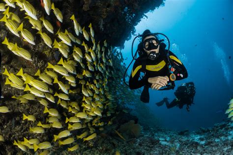 singapore have scuba diving