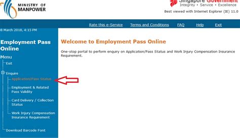 singapore mom employment pass