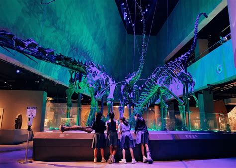 singapore natural history museum