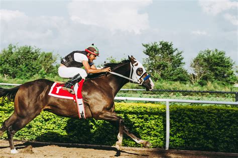 singapore pools horse racing