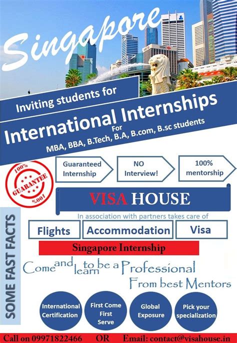 singapore summer internship visa