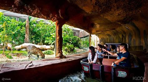 singapore zoo and river safari tickets