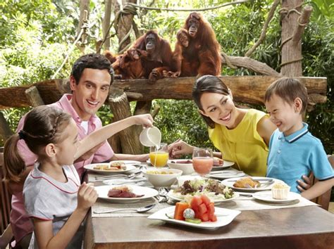 singapore zoo breakfast with orangutans
