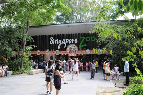 singapore zoo entry fee