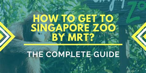 singapore zoo how to get there