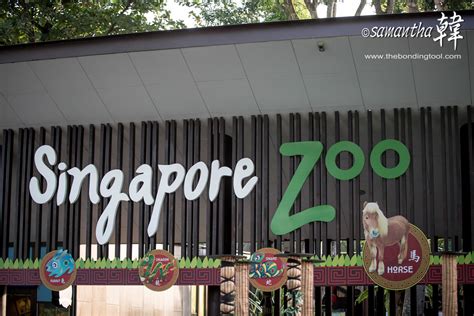 singapore zoo official site