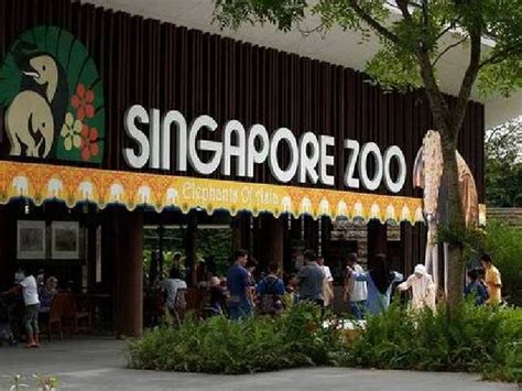 singapore zoo official website