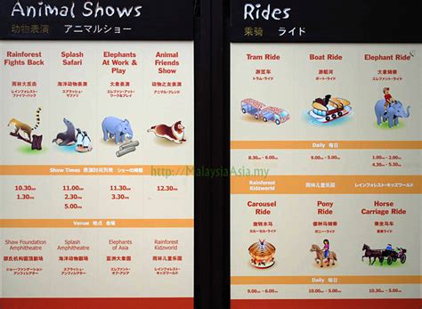 singapore zoo show schedule