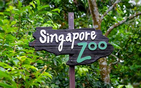 singapore zoo tickets