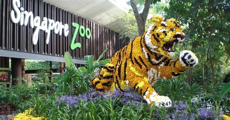 singapore zoo tour packages