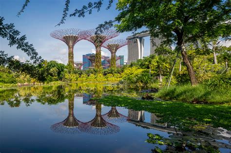 singapour nature en ville