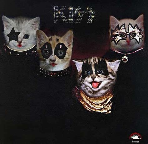 singing cat record cd history