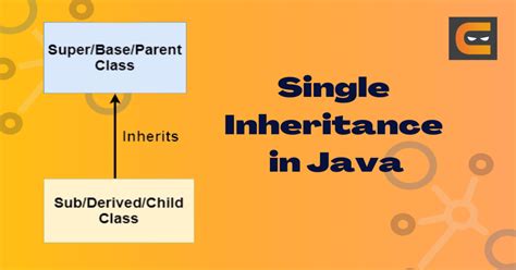 single inheritance in java with example programs pdf