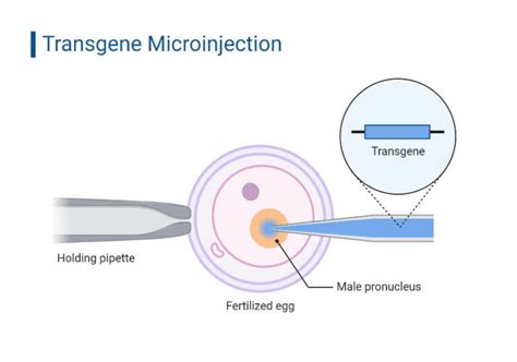 single injection method