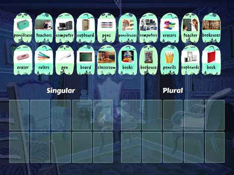 Singular And Plural Bookshelf