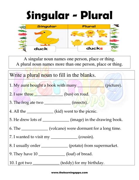singular and plural nouns exercises