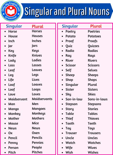 singular and plural nouns word