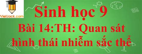 sinh học 9 bài 14