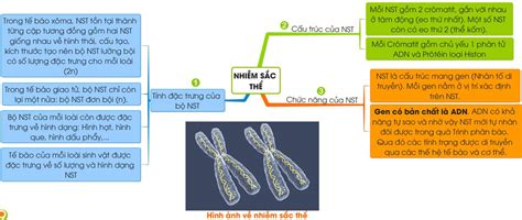 sinh học 9 bài 8