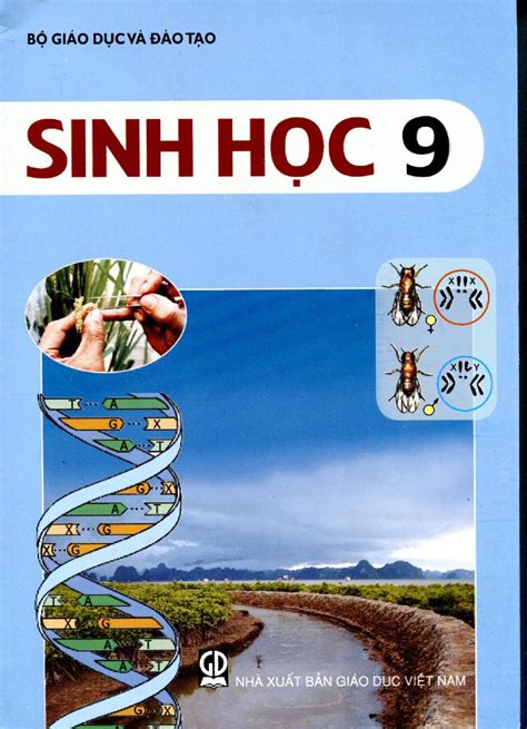 sinh học lớp 9 bài 41