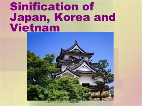 sinification definition world history