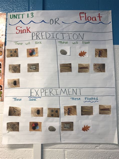 Sink Or Float Anchor Chart