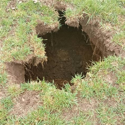 sinkhole in my yard