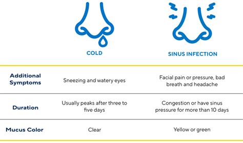 Sinus Drainage Vs Cold