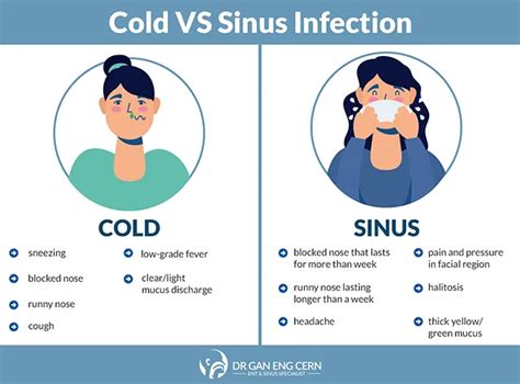 Sinus Infection High Fever: Warning Signs and Relief Options