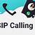 sip calling google voice