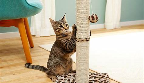 Sisal Fabric Cat Scratching Post Diversity World Quick Replaceable
