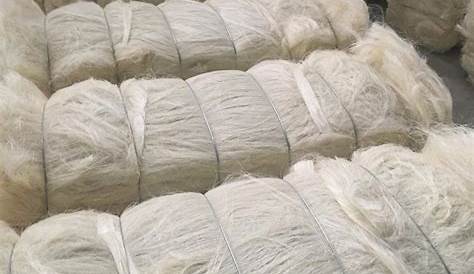 Sisal Fiber For Sale BUY QUALITY SISAL FIBER MANUFACTURER , SISAL FIBER