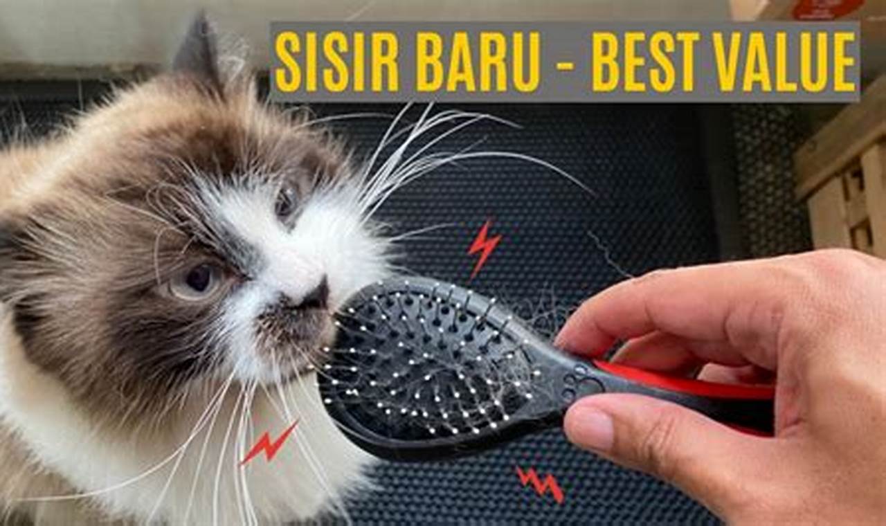 Perawatan Bulu Kucing yang Menawan dengan Sisir Kucing Terbaik