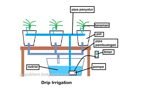 sistem drip atau irigasi tetes hidroponik