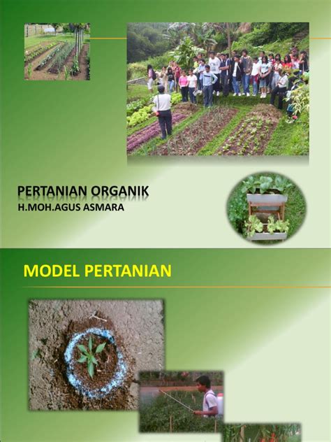 sistem pertanian organik pdf