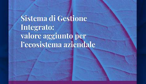 Sistema di gestione integrato e Smart Integrated Management System