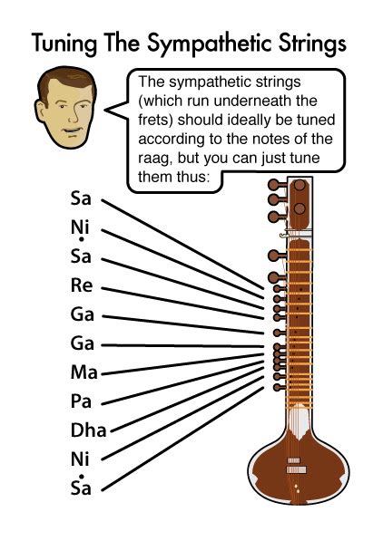 Sitar Have Sympathetic Strings