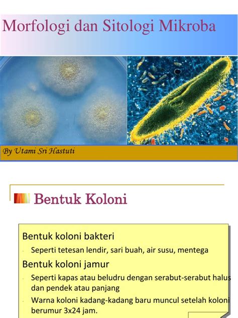 Sitologi Mikroba