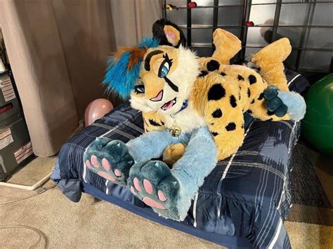 sitting bubble face butts