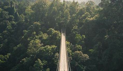 Situ Gunung Suspension Bridge Sukabumi Jawa Barat Lokasi Dan Harga Tiket Masuk Jembatan Gantung