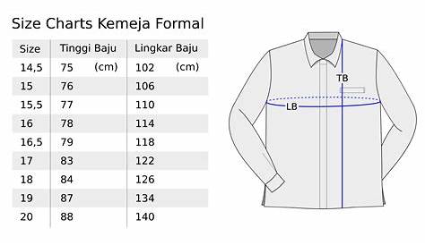 Standard Ukuran Baju Gamis Wanita Dewasa S M L XL | Sketsa desain gaun